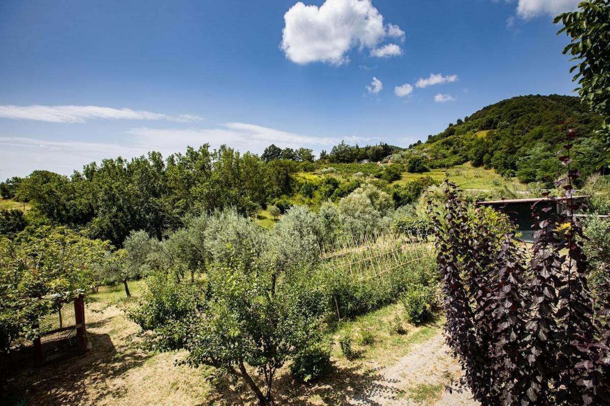 Casa Damiano Villa Chianni Dış mekan fotoğraf